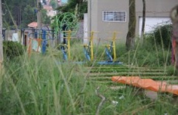 Mato predomina em praça da avenida Bandeirantes: