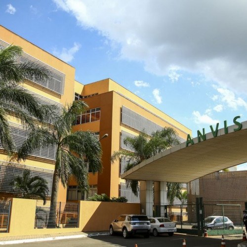 Anvisa: eventos adversos das vacinas estão dentro do previsto