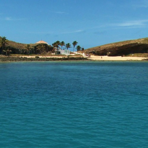 Concurso vai premiar imagens do fundo do mar de Abrolhos
