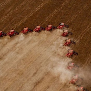 Caixa amplia para R$ 12 bilhões a oferta de crédito agrícola
