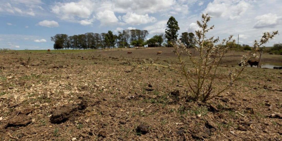 Com seca, 12 cidades gaúchas vão receber socorro de R$ 2,2 milhões