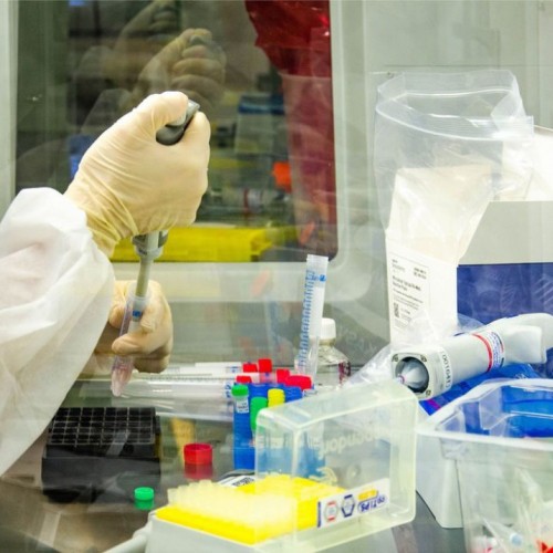 Covid-19: Brasil registra 239 mil mortes e 9,83 milhões de casos