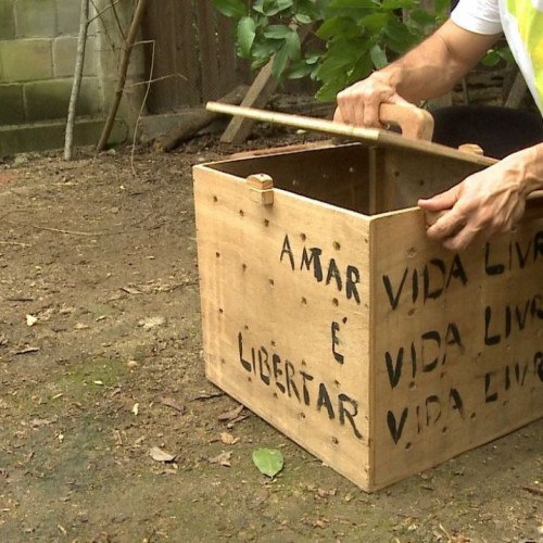 Tráfico de animais é tema do Caminhos da Reportagem