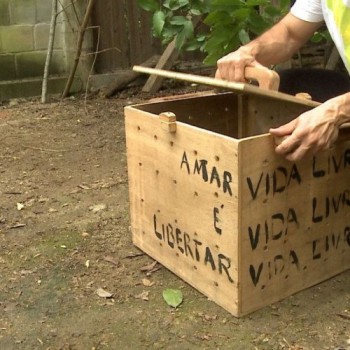 Tráfico de animais é tema do Caminhos da Reportagem