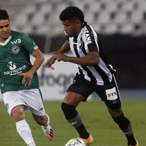 Goiás tenta vencer Botafogo para continuar na luta por permanência