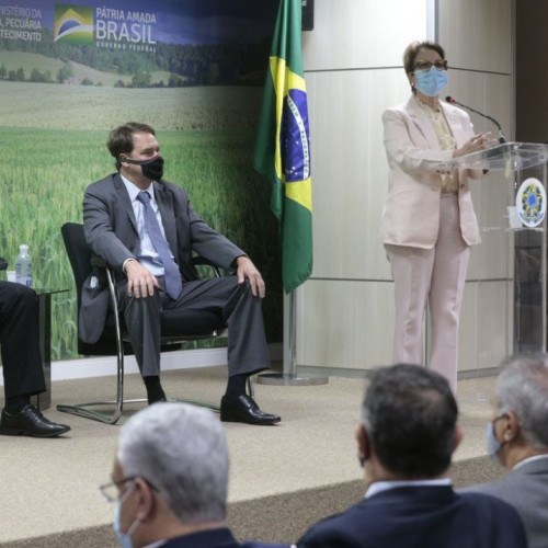 Incra lança aplicativo para agilizar regularização fundiária