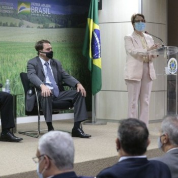 Incra lança aplicativo para agilizar regularização fundiária