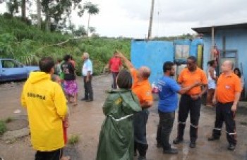 Árvore cai e deixa 18 desabrigados