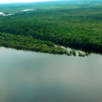 Mourão apresenta plano substituto à operação militar na Amazônia