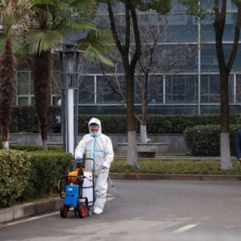 OMS diz ser improvável que vírus tenha escapado de laboratório