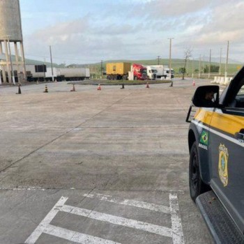 PRF faz apreensão recorde de maconha em Mato Grosso do Sul