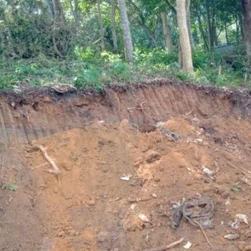 Grupo é detido pela GCM realizando desmatamento no Parque Samambaia
