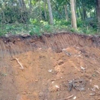 Grupo é detido pela GCM realizando desmatamento no Parque Samambaia