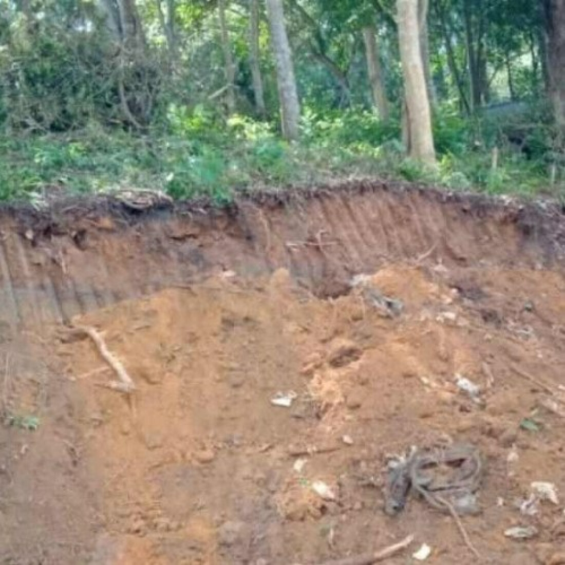 Grupo é detido pela GCM realizando desmatamento no Parque Samambaia