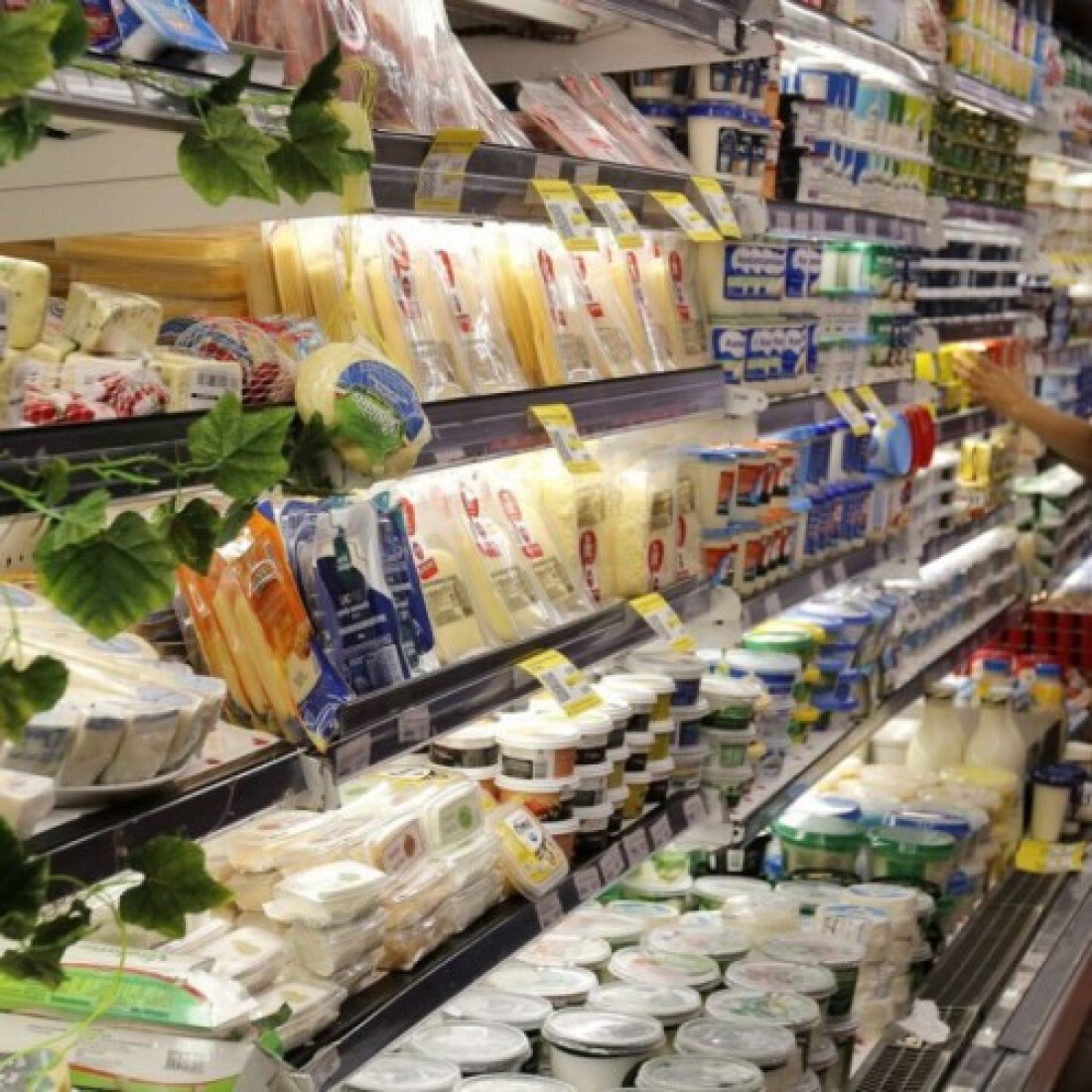 Dieese: custo da cesta básica sobe em janeiro em 13 capitais