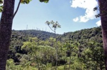 Parque recebe trilha monitorada