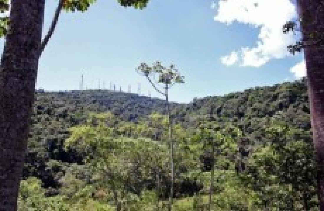 Parque recebe trilha monitorada