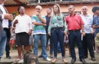 Problemas de Palmeiras são listados