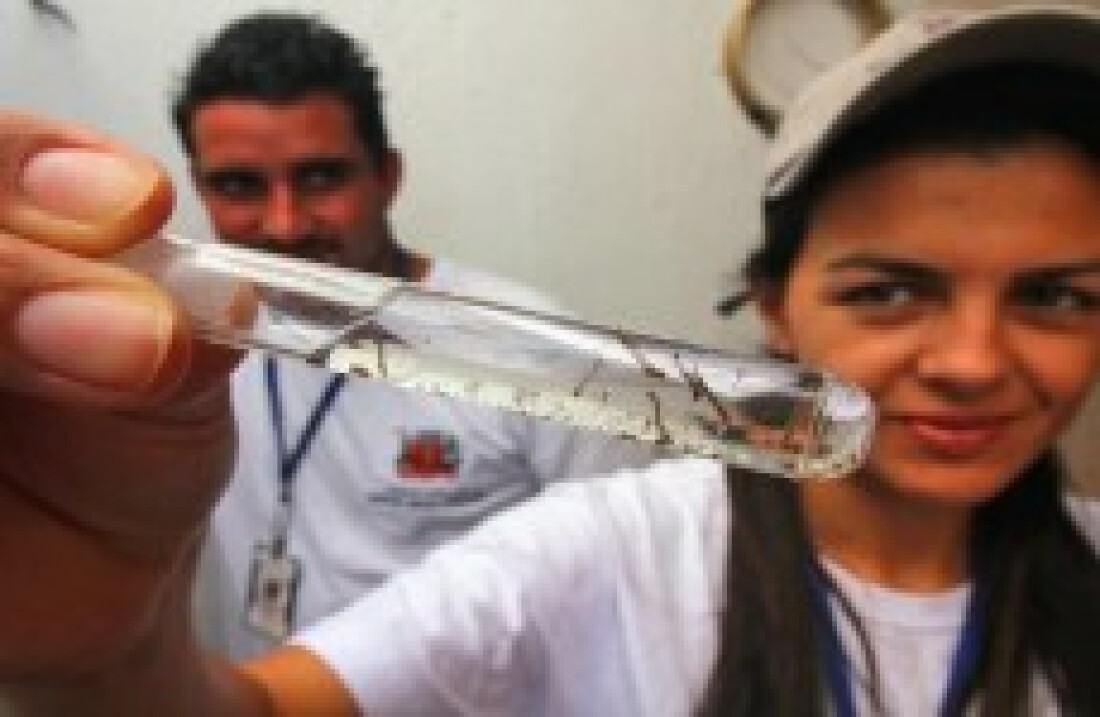 Ações de combate ao Aedes continuam em toda a cidade