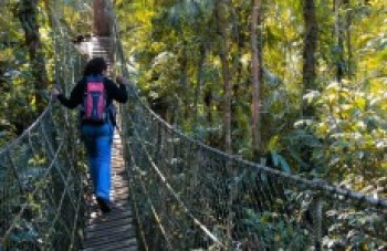 Parque das Neblinas realiza oficina