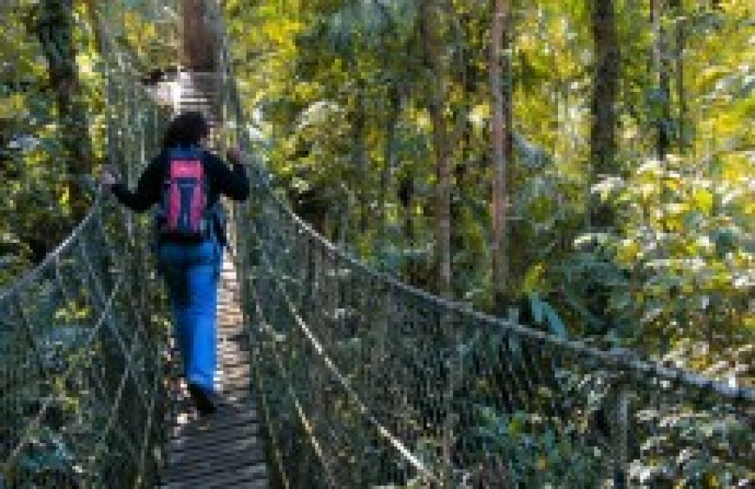 Parque das Neblinas realiza oficina