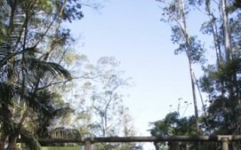 Parque terá oficina de fotografia