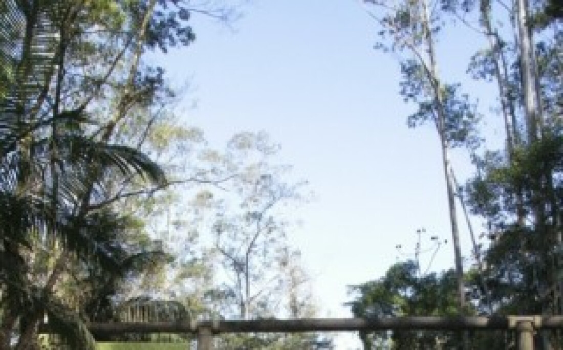 Parque terá oficina de fotografia