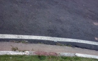 Idoso morre após ser atropelado