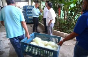 Famílias vão receber mais de 3 toneladas de alimentos