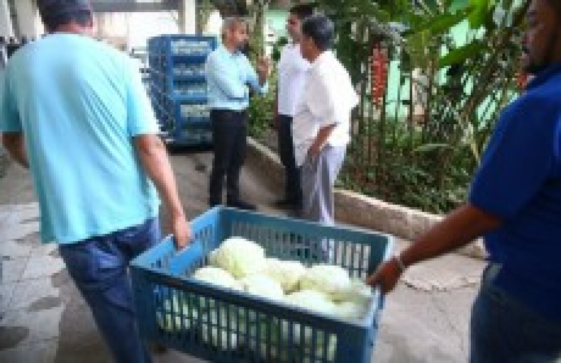 Famílias vão receber mais de 3 toneladas de alimentos