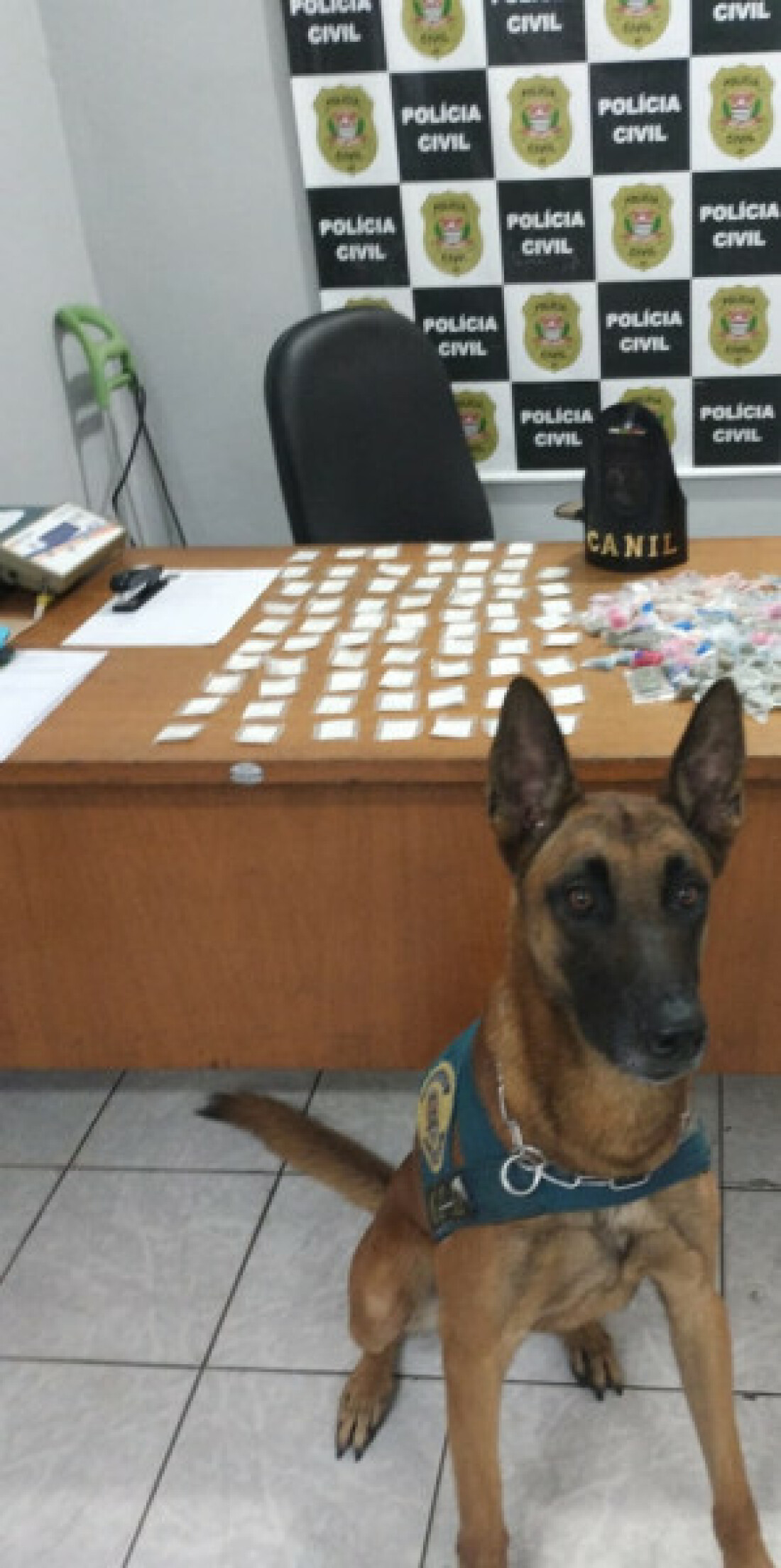 Canil da GCM apreende drogas em lixeira