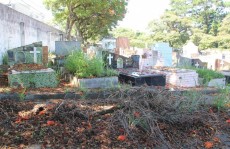 Abandono de cemitério é alvo de reclamação dos visitantes