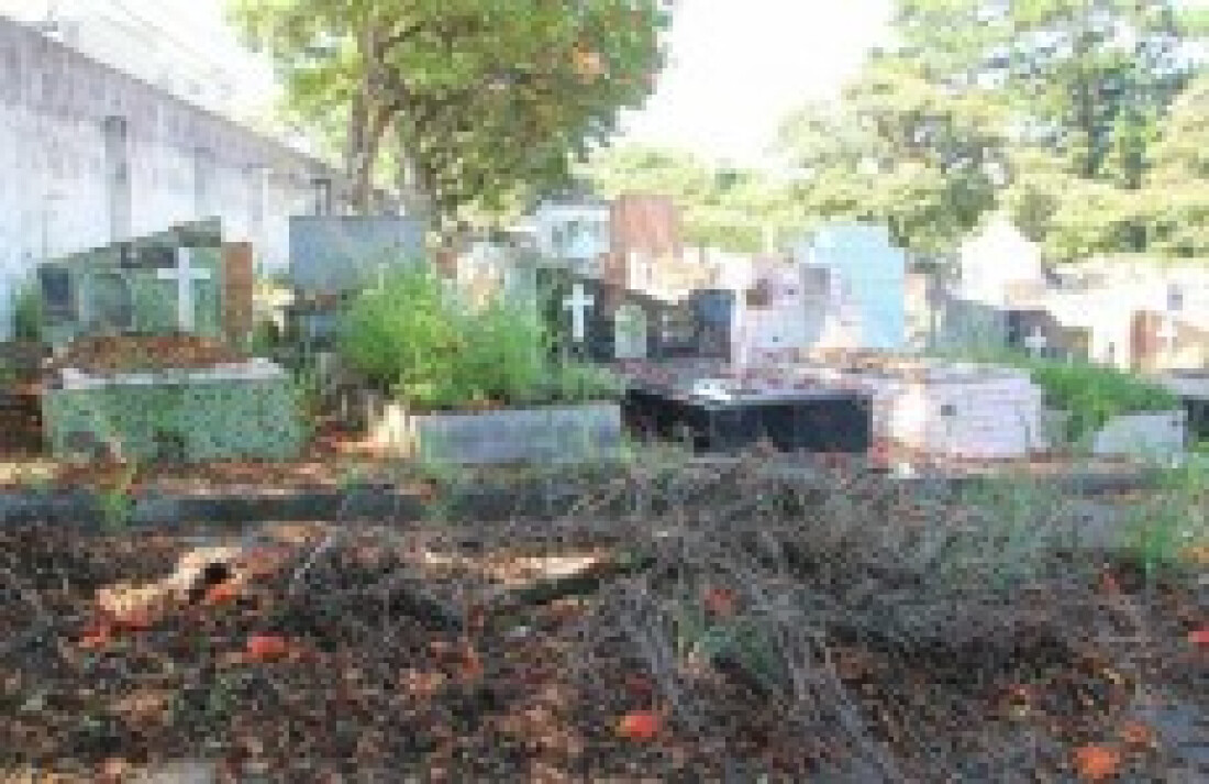 Abandono de cemitério é alvo de reclamação dos visitantes