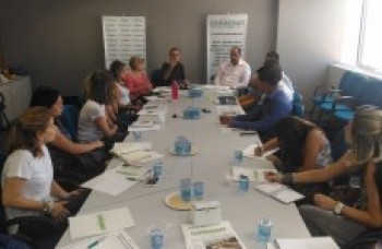 Câmaras Técnicas definem planos