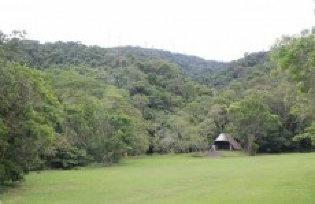 Parque Municipal recebe visita hoje