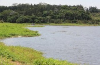 Cetesb apura venda irregular de lotes