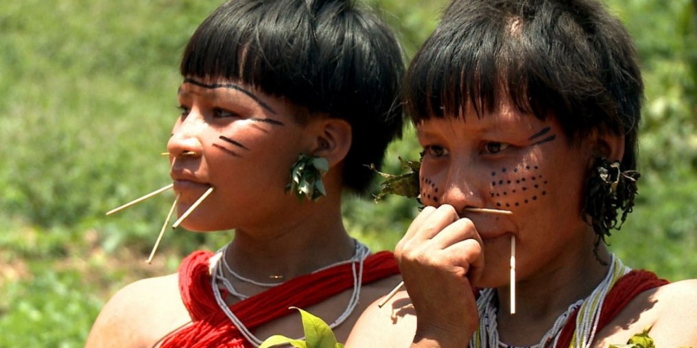 Caminhos da Reportagem mostra efeitos do garimpo na Terra Yanomami