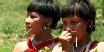 Caminhos da Reportagem mostra efeitos do garimpo na Terra Yanomami