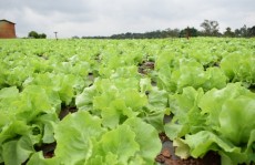 Entidades do Alto Tietê repudiam aumento do ICMS