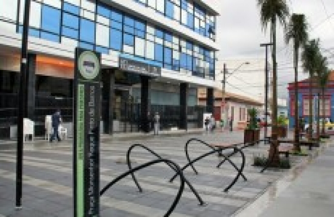 Cultura escolhe coletivamente o patrono do Salão de Artes Plásticas