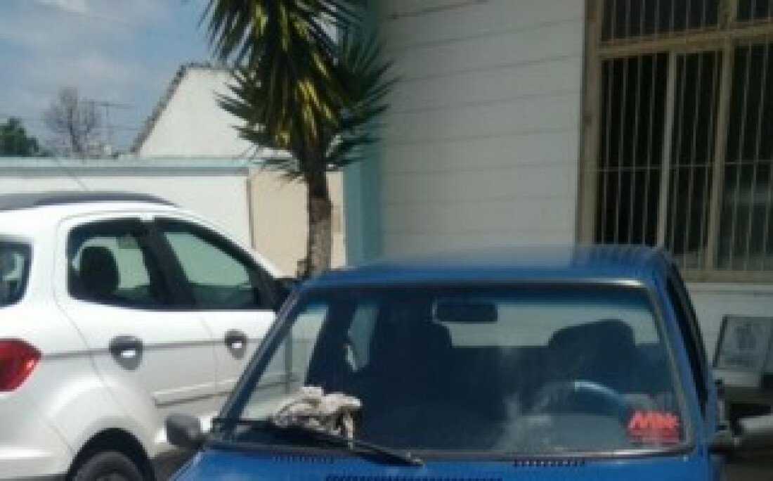 Suspeito é preso por furto de carro