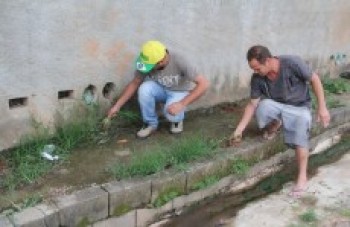 Moradores retiram mato das ruas do Jardim Nícea