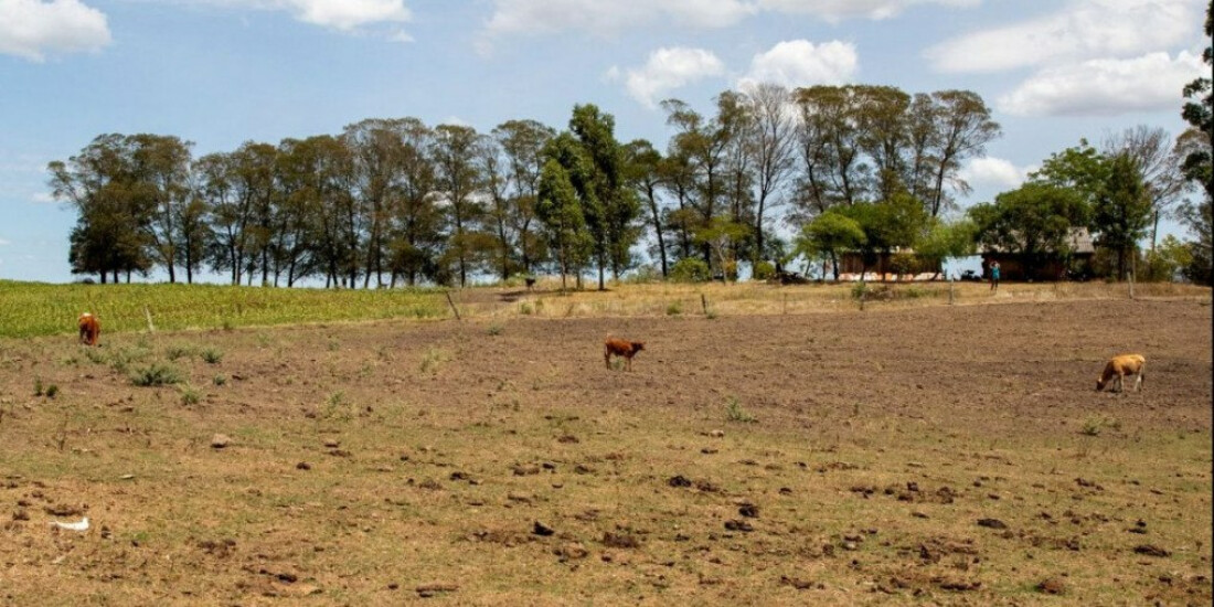 Cidades gaúchas vão receber mais R$ 701 mil para combater seca