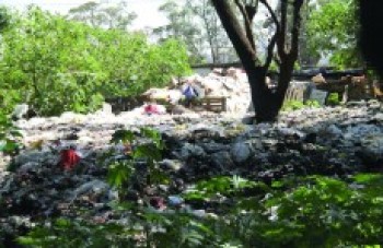 Aterro clandestino ganha forma no Monte Cristo