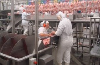 Três frigoríficos investigados vão recolher toda a produção