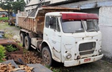 GCMI flagra despejo irregular em terreno