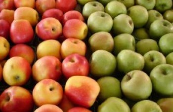 Produção de alimentos pode reduzir reservas