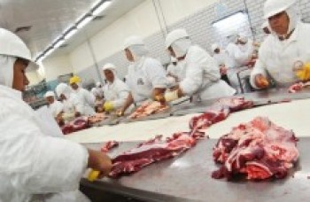 União Europeia cobra atitude do Brasil em relação à carne