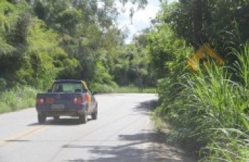Mato oculta placas e complica visibilidade dos motoristas