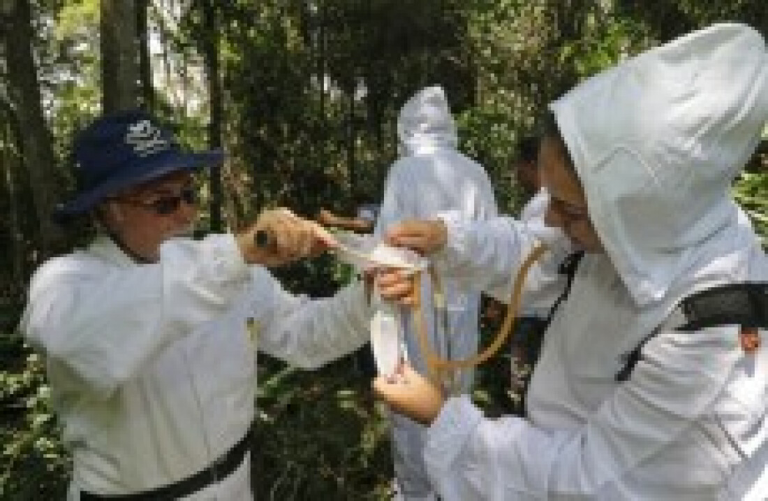 Materiais de macacos mortos serão analisados na capital